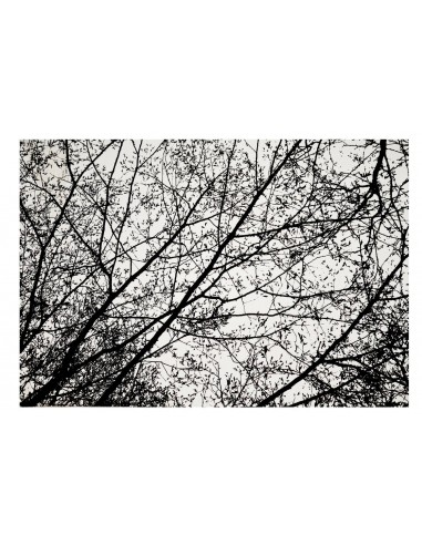 Dywan White / Black Trees